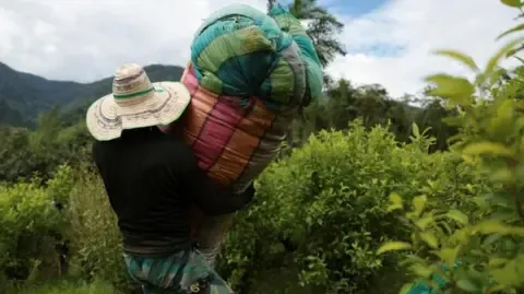 America Classifies Colombia as Failing to Cooperate in Drug War